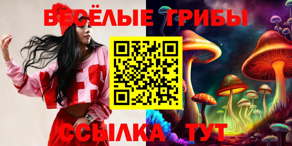 Строитель  Псилоцибиновые грибы прущие грибы  Вход с VPN 