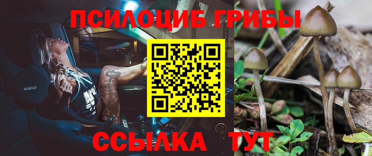 Галлюциногенные грибы Psilocybe Строитель